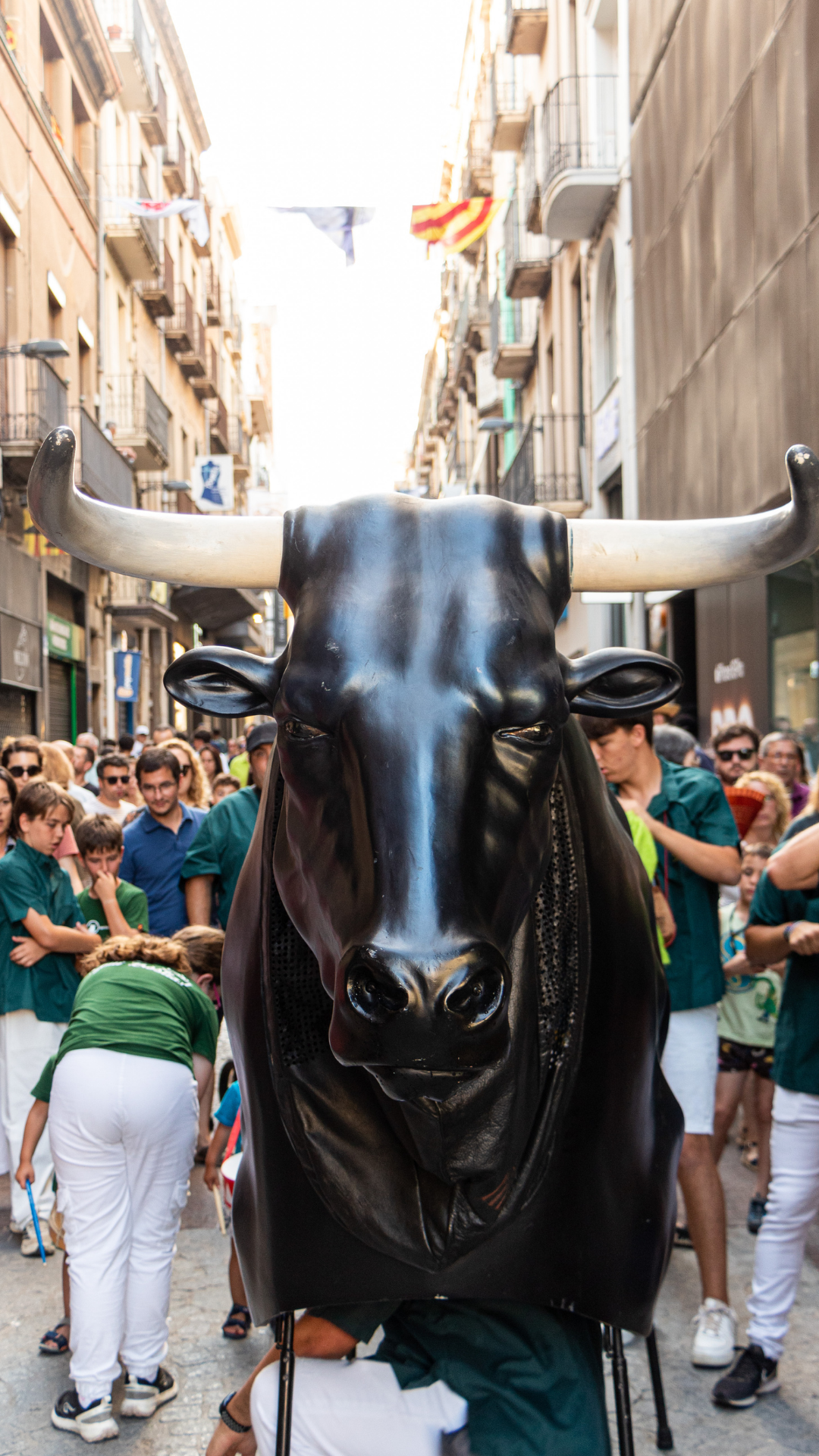 La mulassa de reus